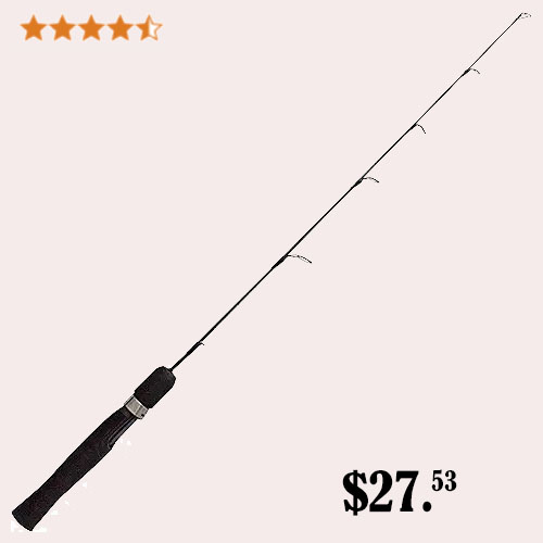 Quantum Ice Spinning Rod