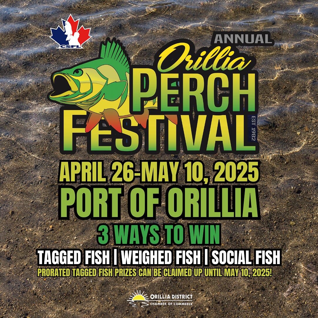 2025 Orillia Perch Festival