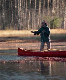Early Morning Fishing