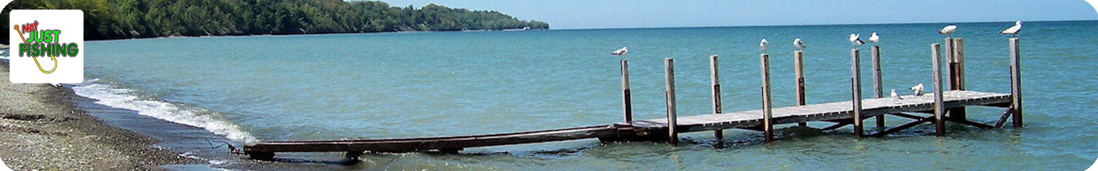 Lake Erie Marinas and Marine Services Logo